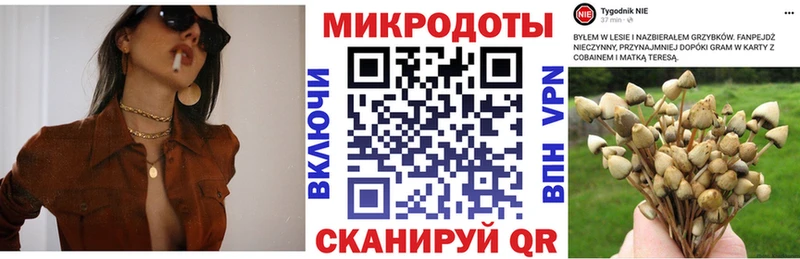 Псилоцибиновые грибы мухоморы  Югорск 