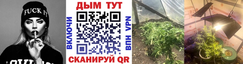 Бошки Шишки планчик  Югорск 